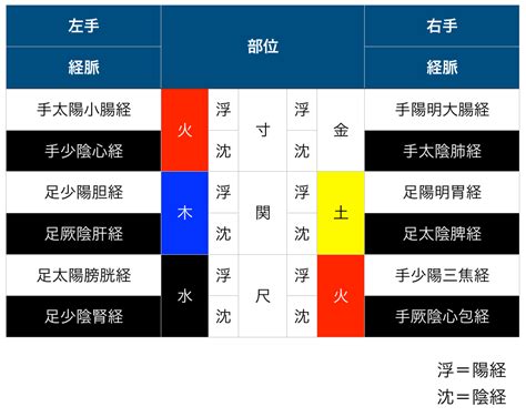 祖脈|【脈診】六部定位脈診